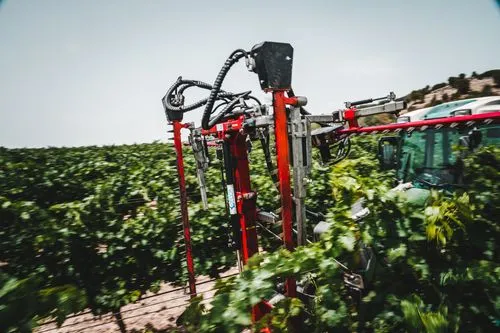 Viñas del Jaro
