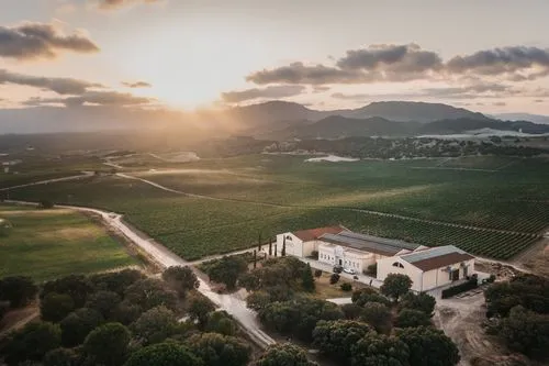 Viñas del Jaro
